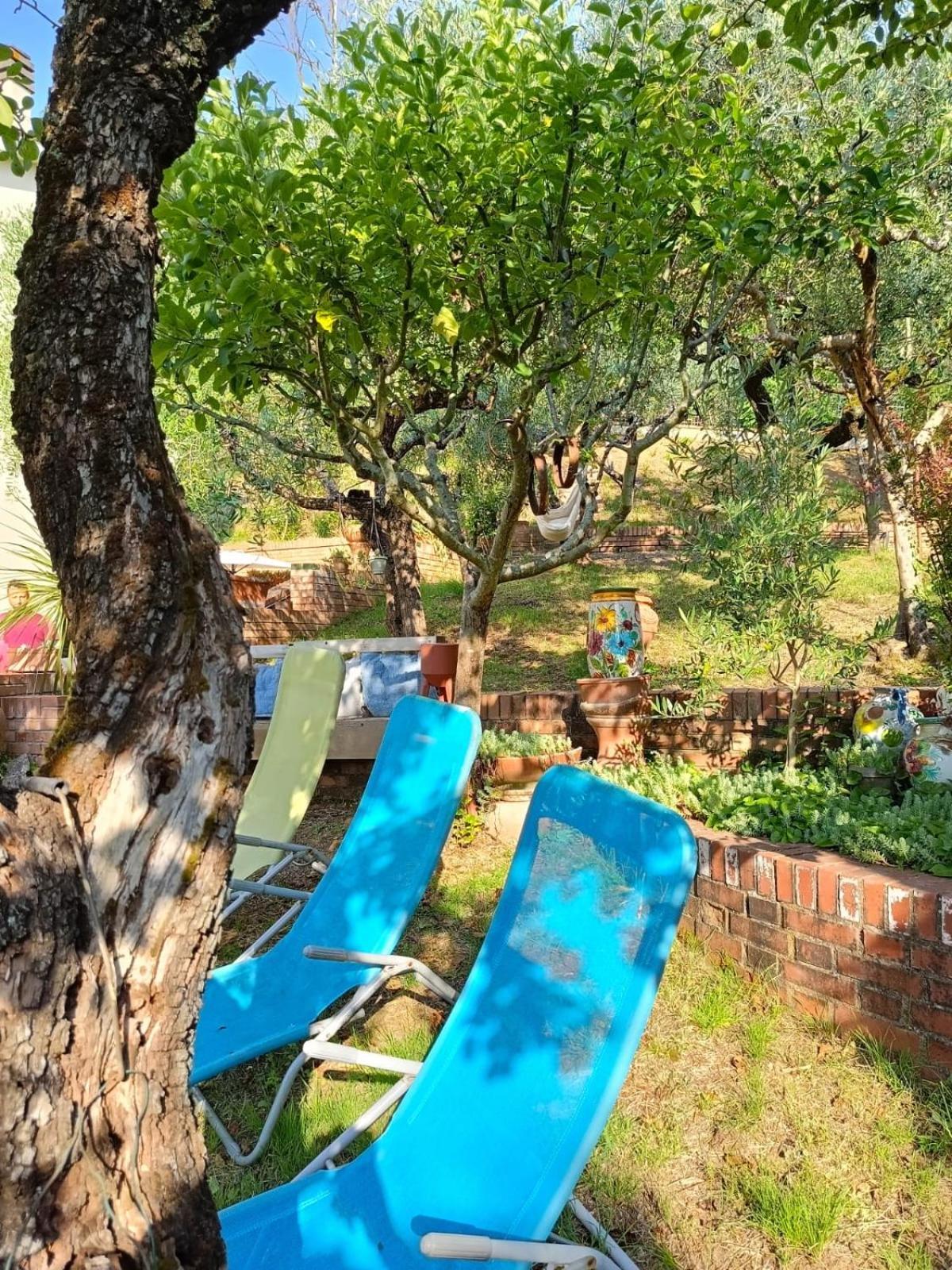 Sweet Emily B&B Montelupo Fiorentino Exterior foto